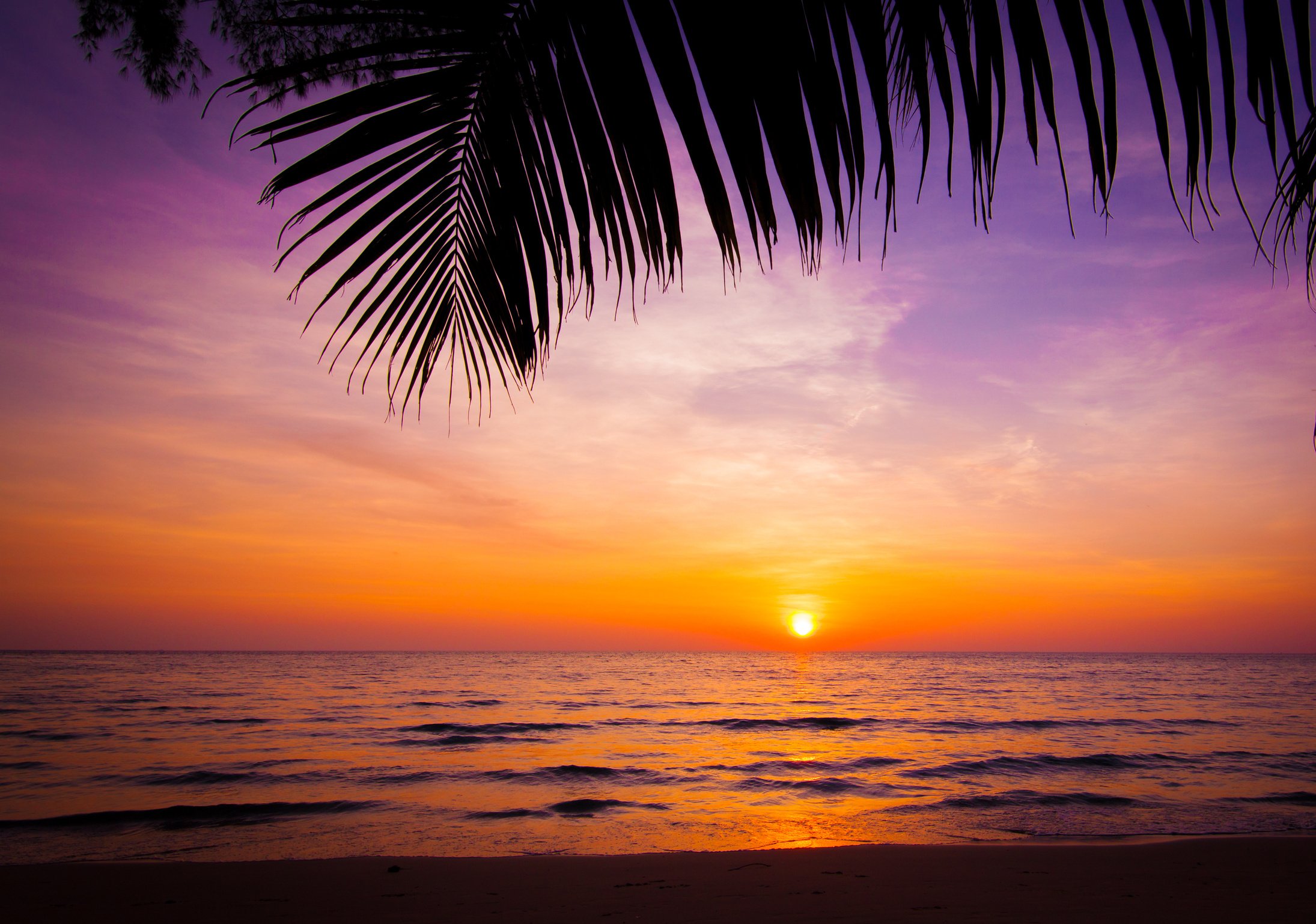 sunset landscape. beach sunset.  sunset on the beach